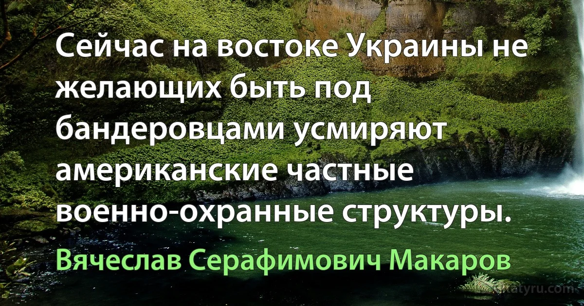 Сейчас на востоке Украины не желающих быть под бандеровцами усмиряют американские частные военно-охранные структуры. (Вячеслав Серафимович Макаров)