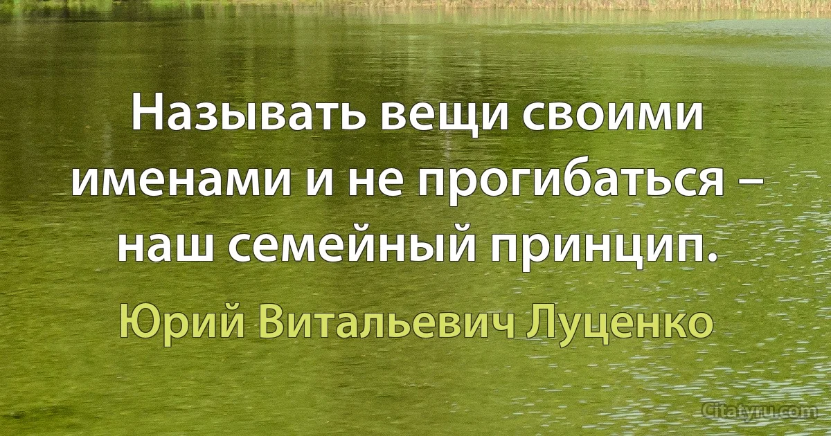 Называть вещи своими именами и не прогибаться – наш семейный принцип. (Юрий Витальевич Луценко)