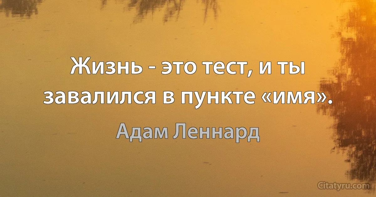 Жизнь - это тест, и ты завалился в пункте «имя». (Адам Леннард)