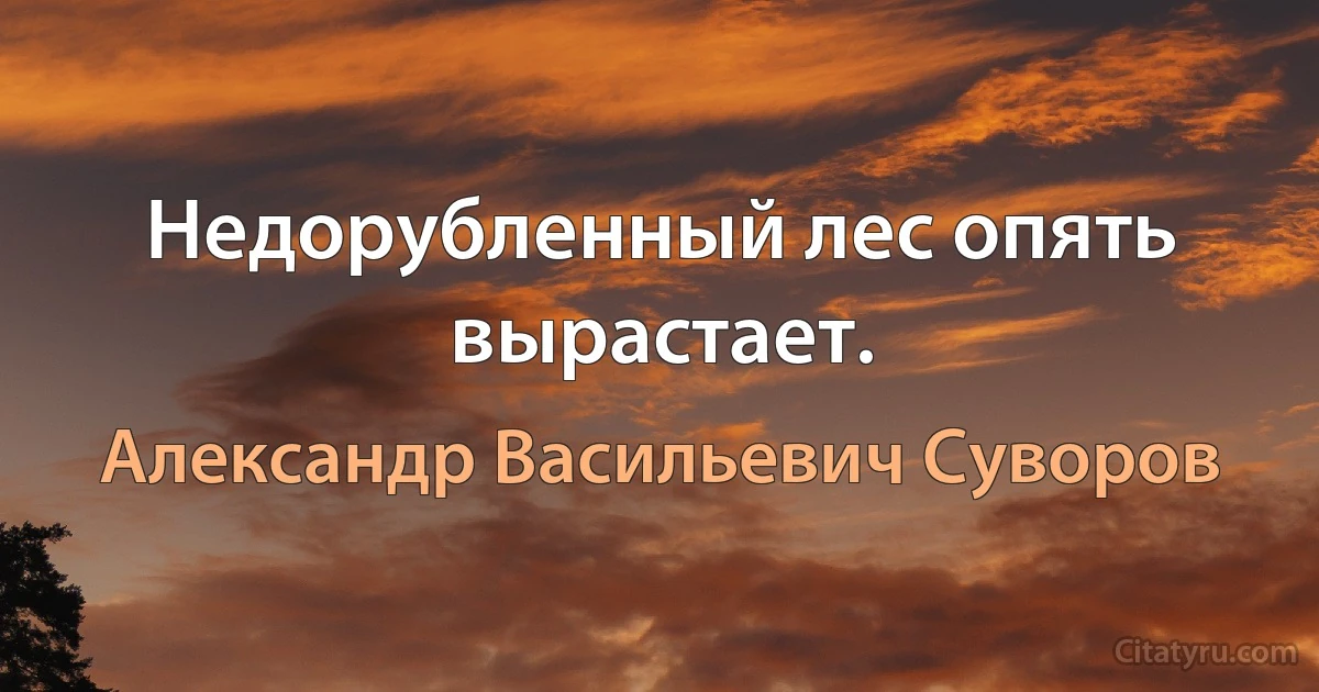 Недорубленный лес опять вырастает. (Александр Васильевич Суворов)