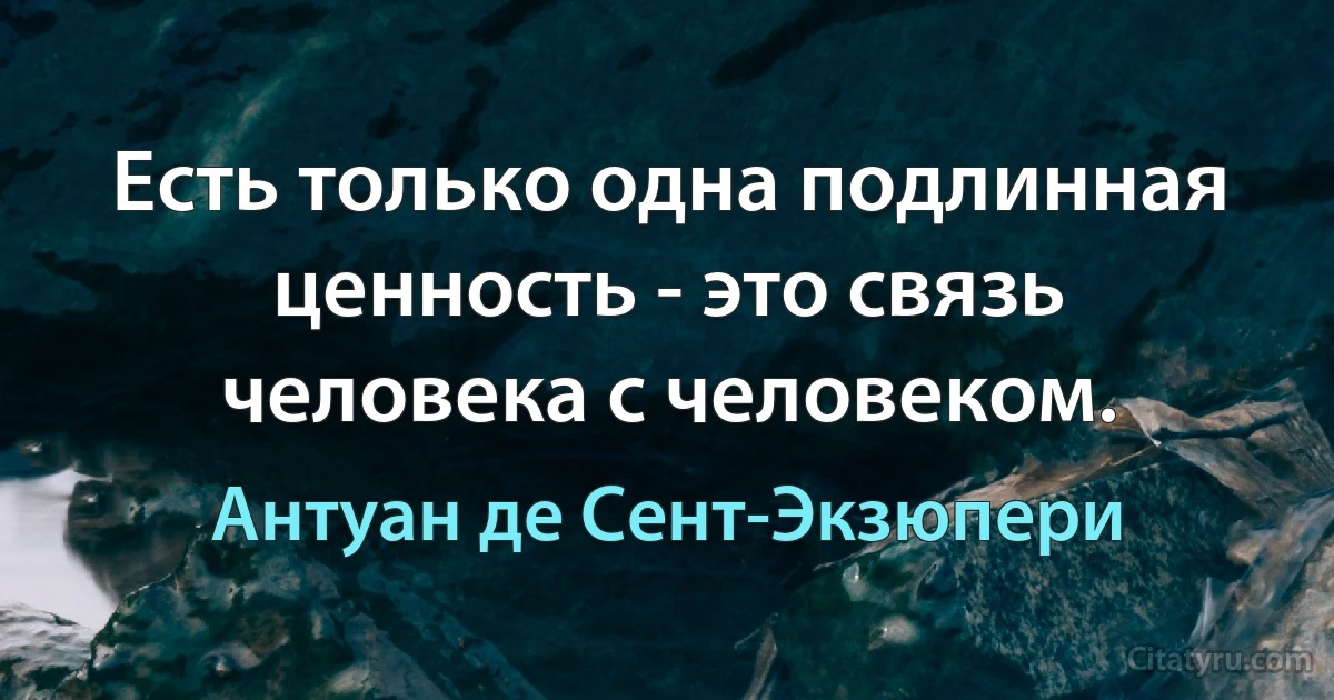 Есть только одна подлинная ценность - это связь человека с человеком. (Антуан де Сент-Экзюпери)