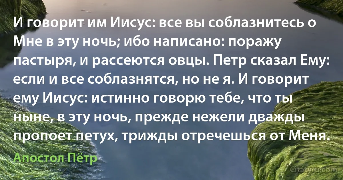 И говорит им Иисус: все вы соблазнитесь о Мне в эту ночь; ибо написано: поражу пастыря, и рассеются овцы. Петр сказал Ему: если и все соблазнятся, но не я. И говорит ему Иисус: истинно говорю тебе, что ты ныне, в эту ночь, прежде нежели дважды пропоет петух, трижды отречешься от Меня. (Апостол Пётр)