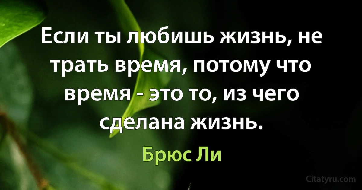 Если ты любишь жизнь, не трать время, потому что время - это то, из чего сделана жизнь. (Брюс Ли)