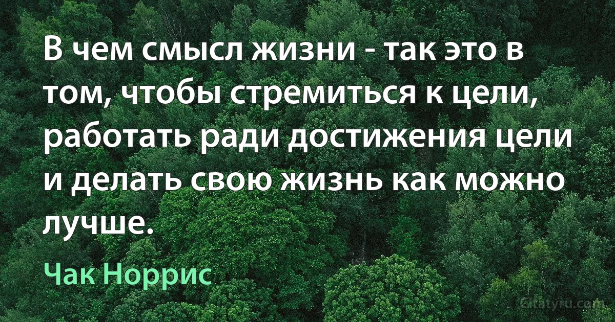 В чем смысл жизни - так это в том, чтобы стремиться к цели, работать ради достижения цели и делать свою жизнь как можно лучше. (Чак Норрис)