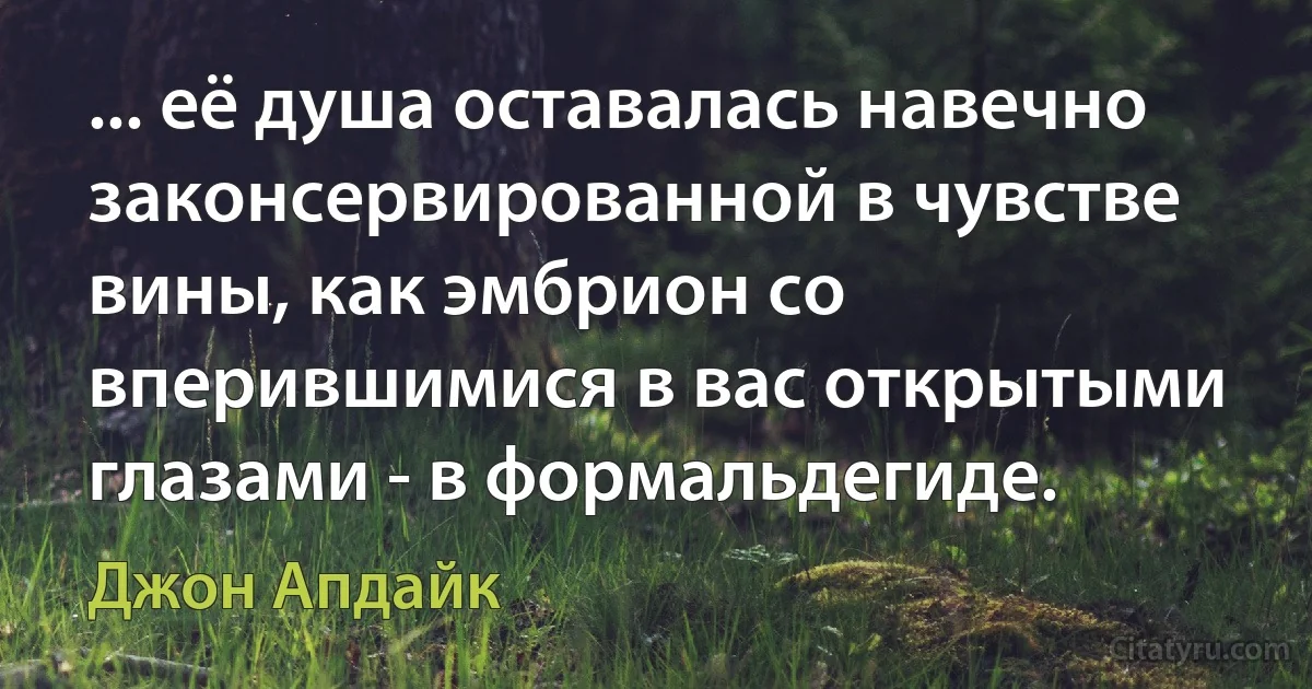 ... её душа оставалась навечно законсервированной в чувстве вины, как эмбрион со вперившимися в вас открытыми глазами - в формальдегиде. (Джон Апдайк)