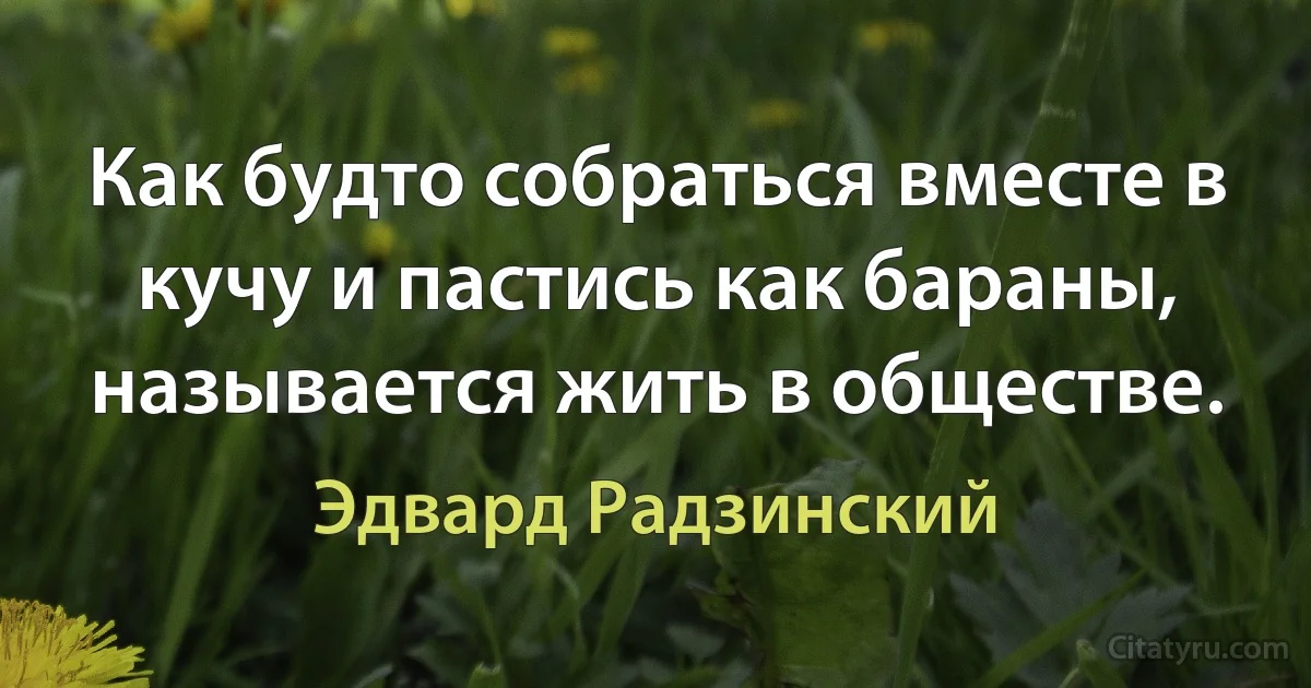 Как будто собраться вместе в кучу и пастись как бараны, называется жить в обществе. (Эдвард Радзинский)