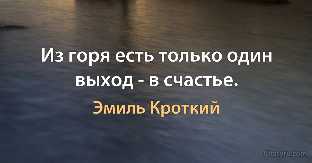 Из горя есть только один выход - в счастье. (Эмиль Кроткий)