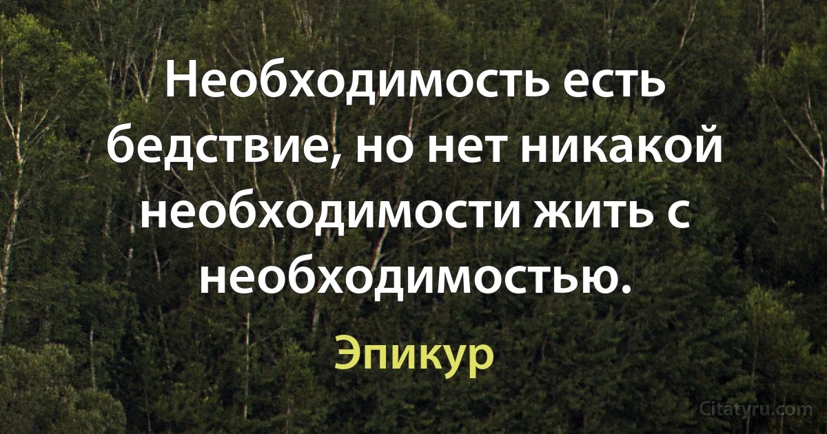 Необходимость есть бедствие, но нет никакой необходимости жить с необходимостью. (Эпикур)