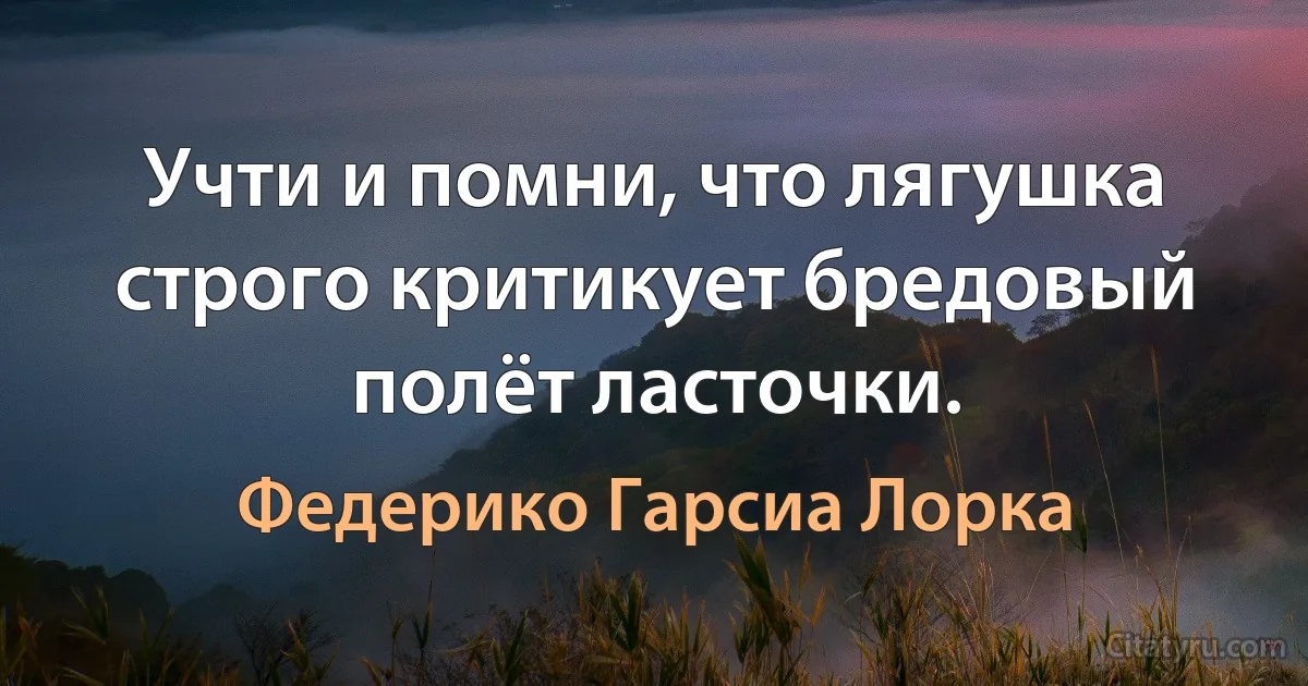 Учти и помни, что лягушка строго критикует бредовый полёт ласточки. (Федерико Гарсиа Лорка)