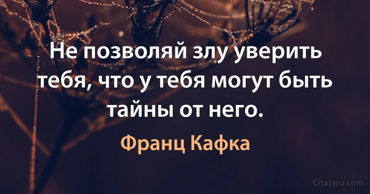 Не позволяй злу уверить тебя, что у тебя могут быть тайны от него. (Франц Кафка)