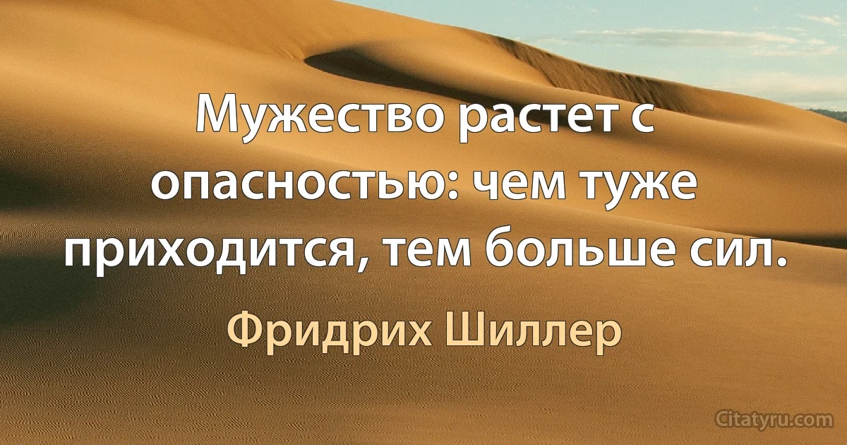 Мужество растет с опасностью: чем туже приходится, тем больше сил. (Фридрих Шиллер)