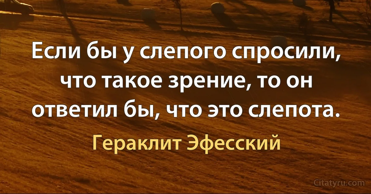 Если бы у слепого спросили, что такое зрение, то он ответил бы, что это слепота. (Гераклит Эфесский)