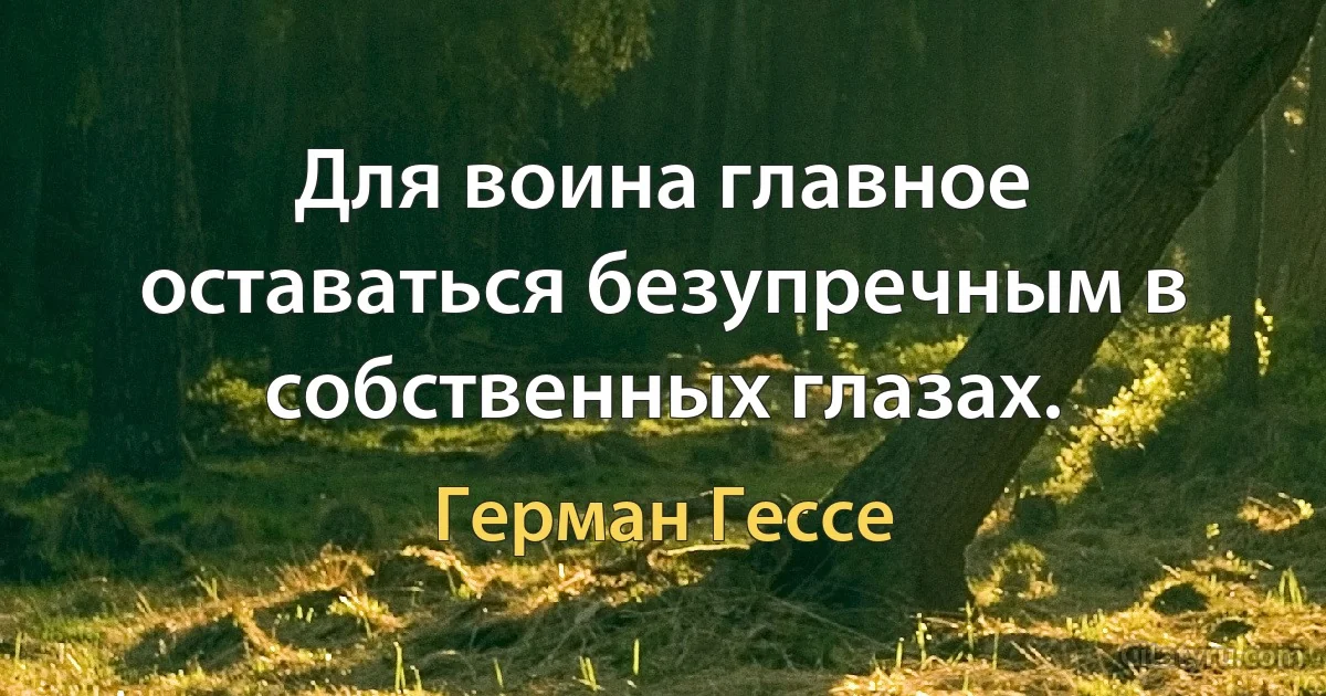 Для воина главное оставаться безупречным в собственных глазах. (Герман Гессе)