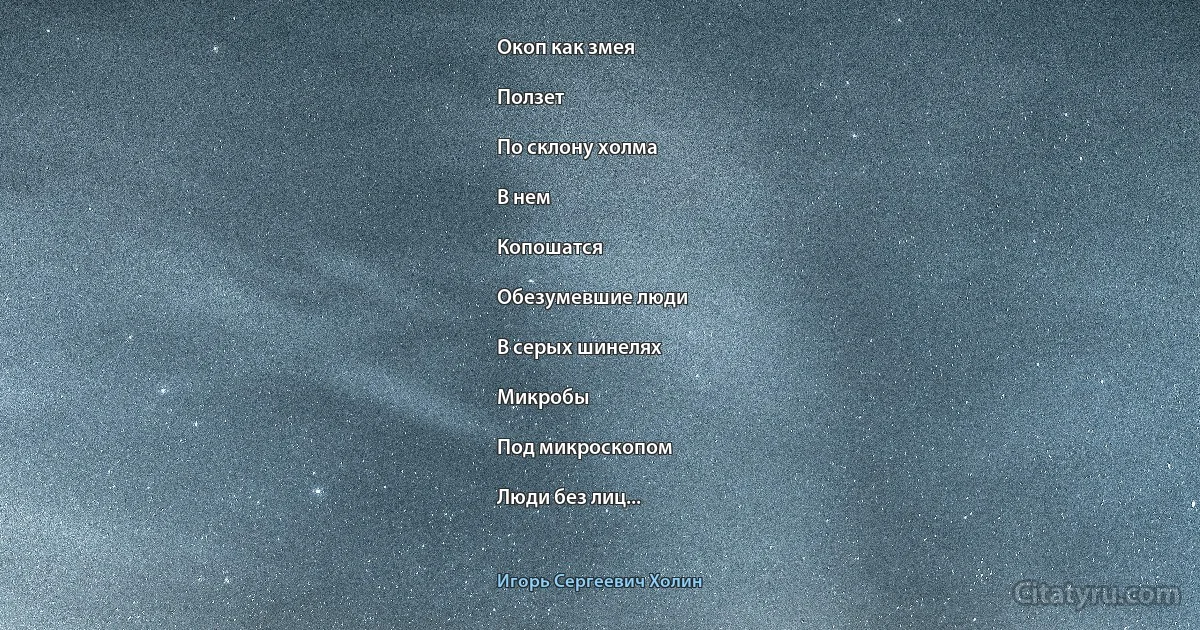 Окоп как змея

Ползет

По склону холма

В нем

Копошатся

Обезумевшие люди

В серых шинелях

Микробы

Под микроскопом

Люди без лиц... (Игорь Сергеевич Холин)
