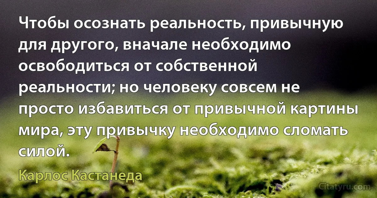 Чтобы осознать реальность, привычную для другого, вначале необходимо освободиться от собственной реальности; но человеку совсем не просто избавиться от привычной картины мира, эту привычку необходимо сломать силой. (Карлос Кастанеда)