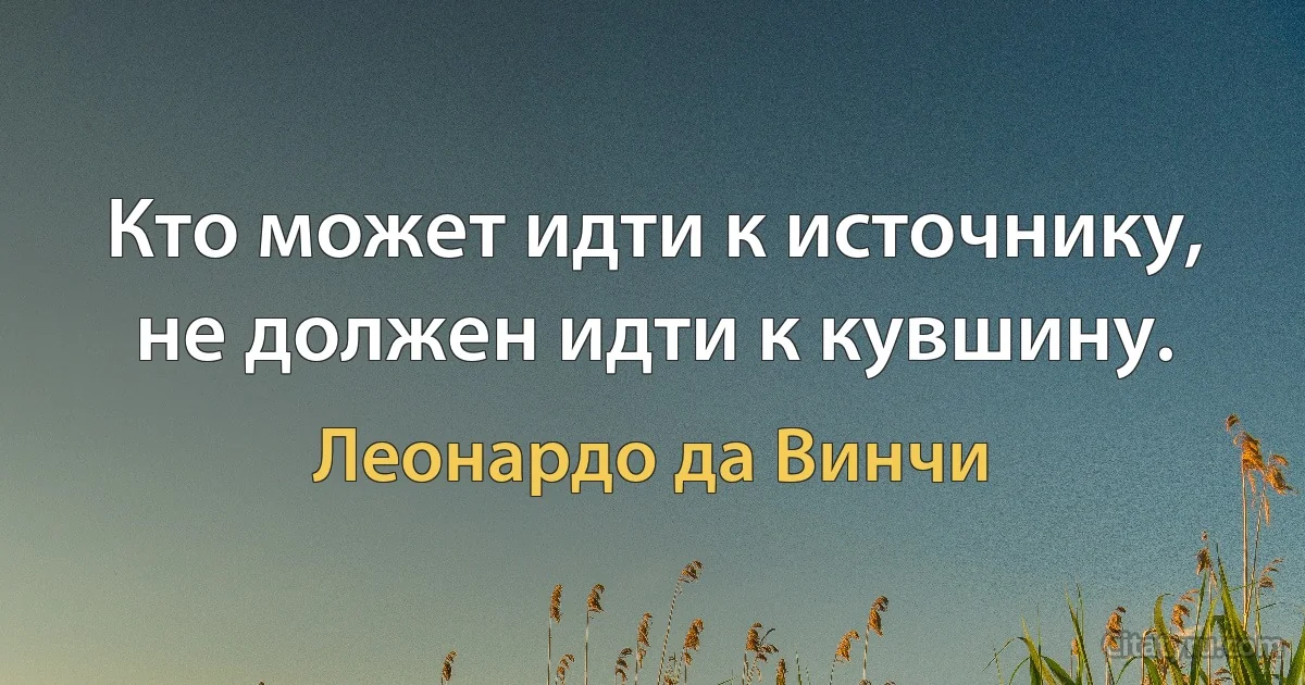 Кто может идти к источнику, не должен идти к кувшину. (Леонардо да Винчи)