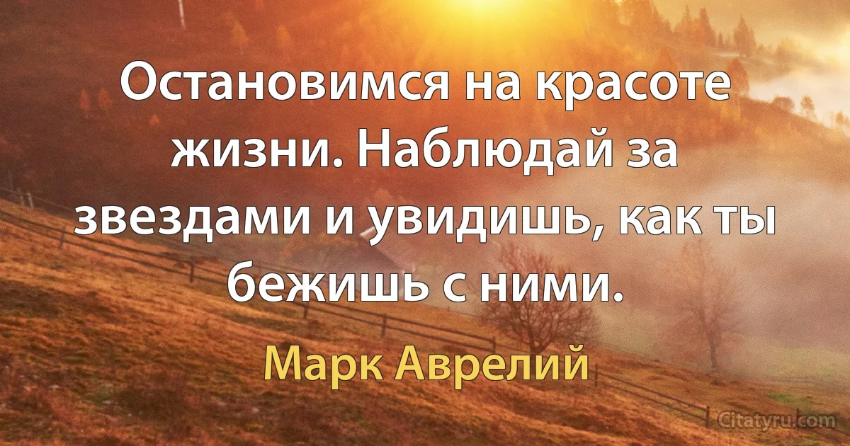 Остановимся на красоте жизни. Наблюдай за звездами и увидишь, как ты бежишь с ними. (Марк Аврелий)