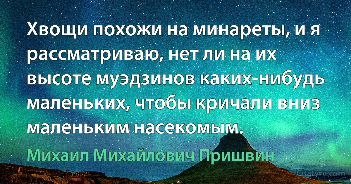 Хвощи похожи на минареты, и я рассматриваю, нет ли на их высоте муэдзинов каких-нибудь маленьких, чтобы кричали вниз маленьким насекомым. (Михаил Михайлович Пришвин)