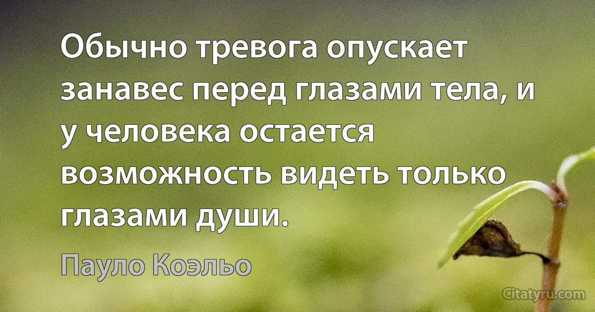 Обычно тревога опускает занавес перед глазами тела, и у человека остается возможность видеть только глазами души. (Пауло Коэльо)