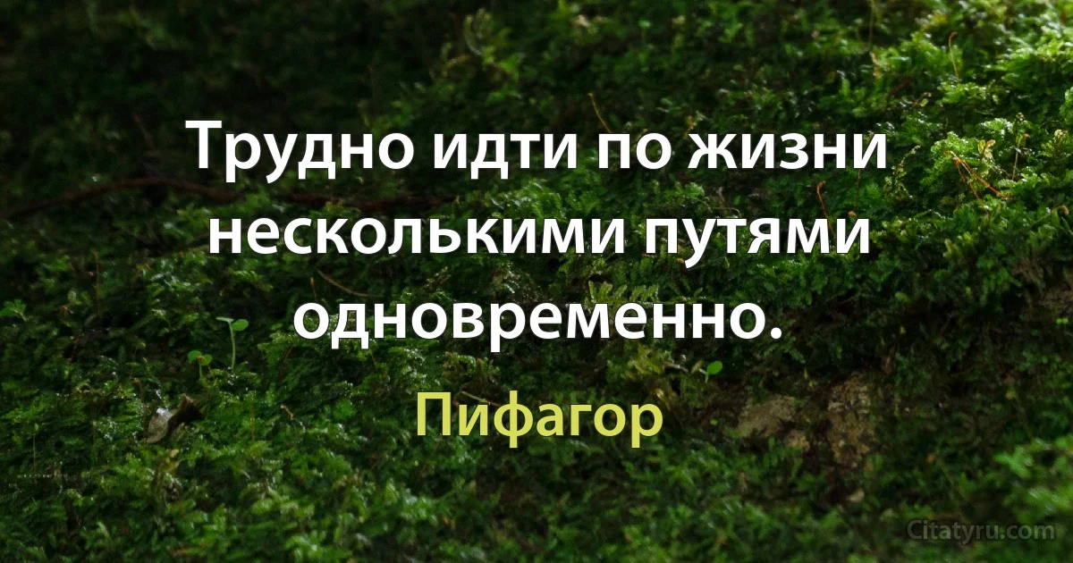 Трудно идти по жизни несколькими путями одновременно. (Пифагор)