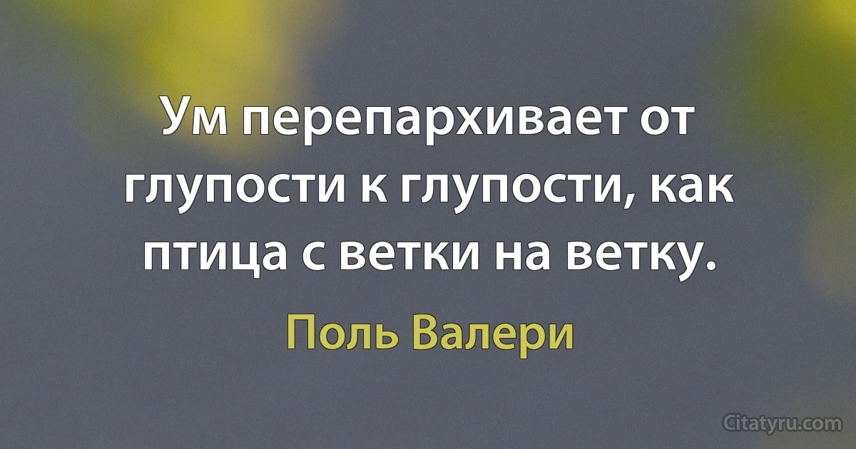 Ум перепархивает от глупости к глупости, как птица с ветки на ветку. (Поль Валери)