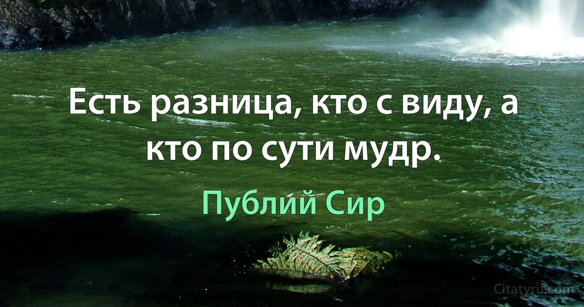 Есть разница, кто с виду, а кто по сути мудр. (Публий Сир)