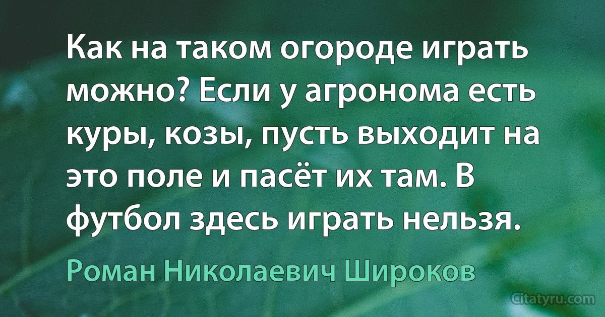 Как на таком огороде играть можно? Если у агронома есть куры, козы, пусть выходит на это поле и пасёт их там. В футбол здесь играть нельзя. (Роман Николаевич Широков)