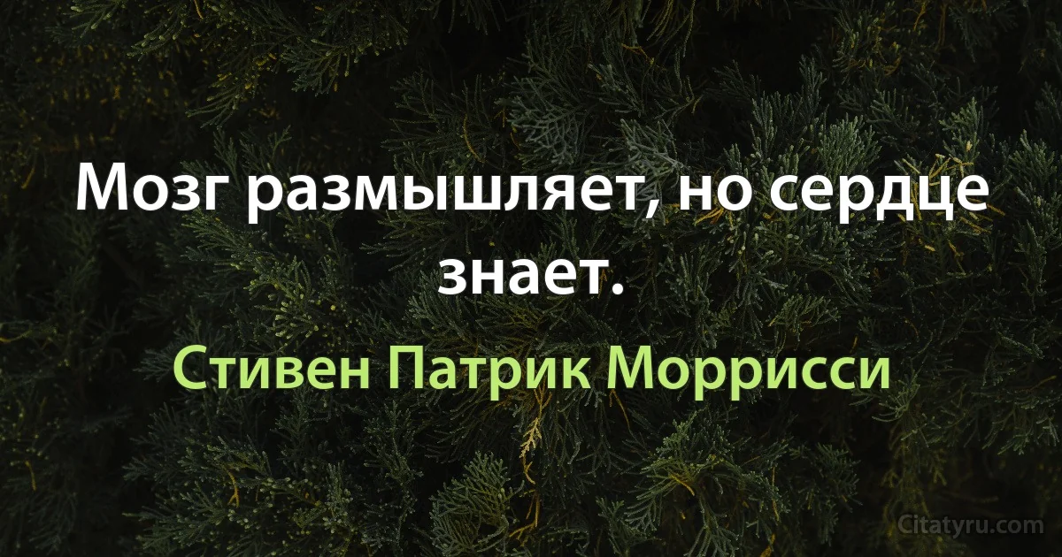 Мозг размышляет, но сердце знает. (Стивен Патрик Моррисси)