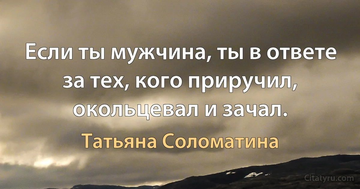 Если ты мужчина, ты в ответе за тех, кого приручил, окольцевал и зачал. (Татьяна Соломатина)