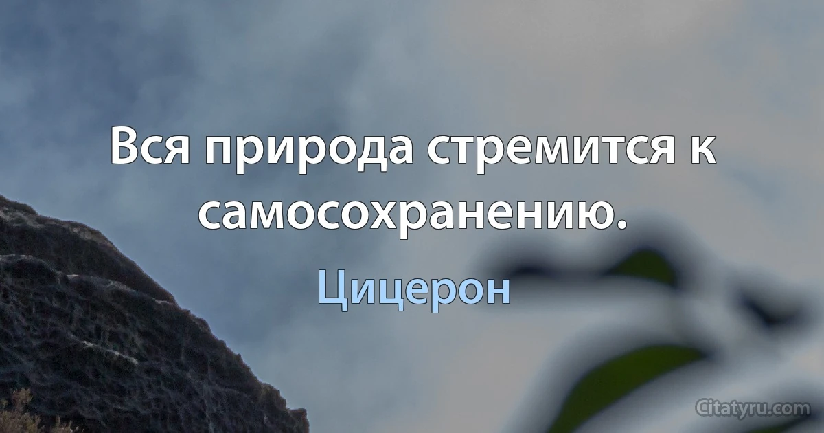 Вся природа стремится к самосохранению. (Цицерон)