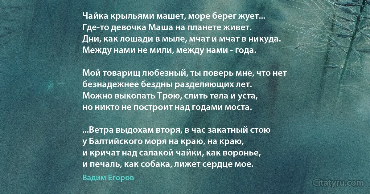 Чайка крыльями машет, море берег жует...
Где-то девочка Маша на планете живет.
Дни, как лошади в мыле, мчат и мчат в никуда.
Между нами не мили, между нами - года.

Мой товарищ любезный, ты поверь мне, что нет
безнадежнее бездны разделяющих лет.
Можно выкопать Трою, слить тела и уста,
но никто не построит над годами моста.

...Ветра выдохам вторя, в час закатный стою
у Балтийского моря на краю, на краю,
и кричат над салакой чайки, как воронье,
и печаль, как собака, лижет сердце мое. (Вадим Егоров)