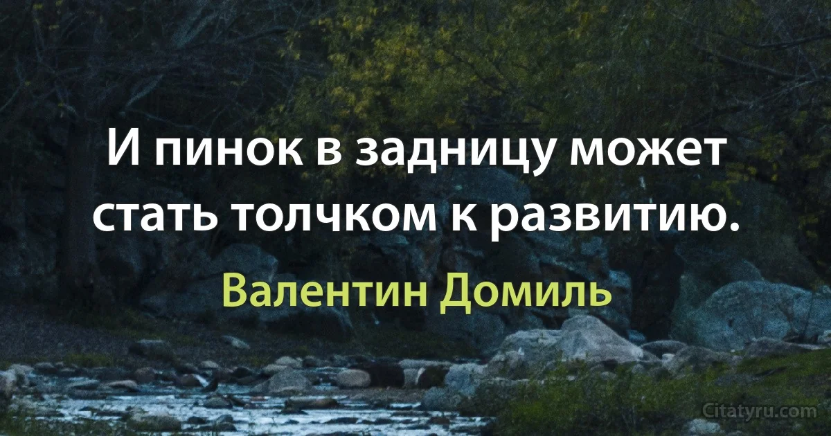 И пинок в задницу может стать толчком к развитию. (Валентин Домиль)