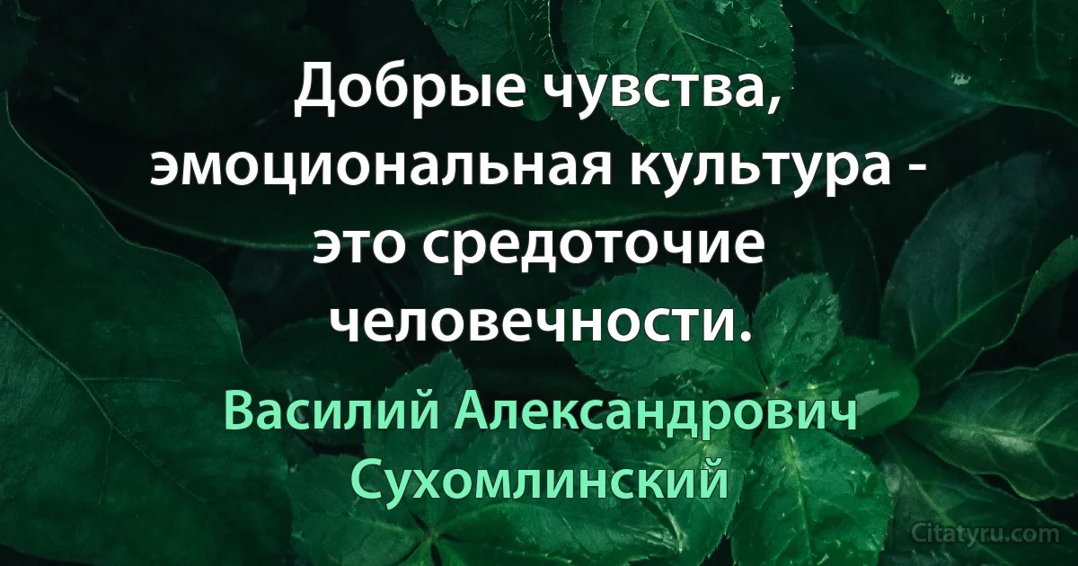 Добрые чувства, эмоциональная культура - это средоточие человечности. (Василий Александрович Сухомлинский)