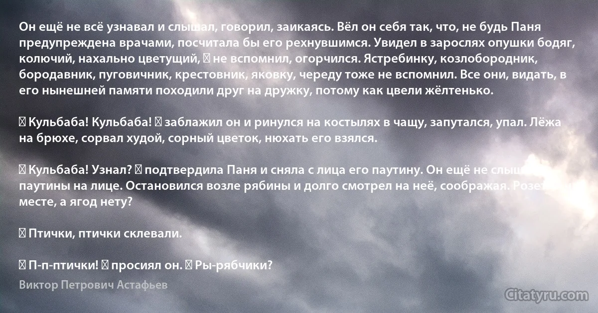 Он ещё не всё узнавал и слышал, говорил, заикаясь. Вёл он себя так, что, не будь Паня предупреждена врачами, посчитала бы его рехнувшимся. Увидел в зарослях опушки бодяг, колючий, нахально цветущий, ― не вспомнил, огорчился. Ястребинку, козлобородник, бородавник, пуговичник, крестовник, яковку, череду тоже не вспомнил. Все они, видать, в его нынешней памяти походили друг на дружку, потому как цвели жёлтенько.

― Кульбаба! Кульбаба! ― заблажил он и ринулся на костылях в чащу, запутался, упал. Лёжа на брюхе, сорвал худой, сорный цветок, нюхать его взялся.

― Кульбаба! Узнал? ― подтвердила Паня и сняла с лица его паутину. Он ещё не слышал паутины на лице. Остановился возле рябины и долго смотрел на неё, соображая. Розетки на месте, а ягод нету?

― Птички, птички склевали.

― П-п-птички! ― просиял он. ― Ры-рябчики? (Виктор Петрович Астафьев)