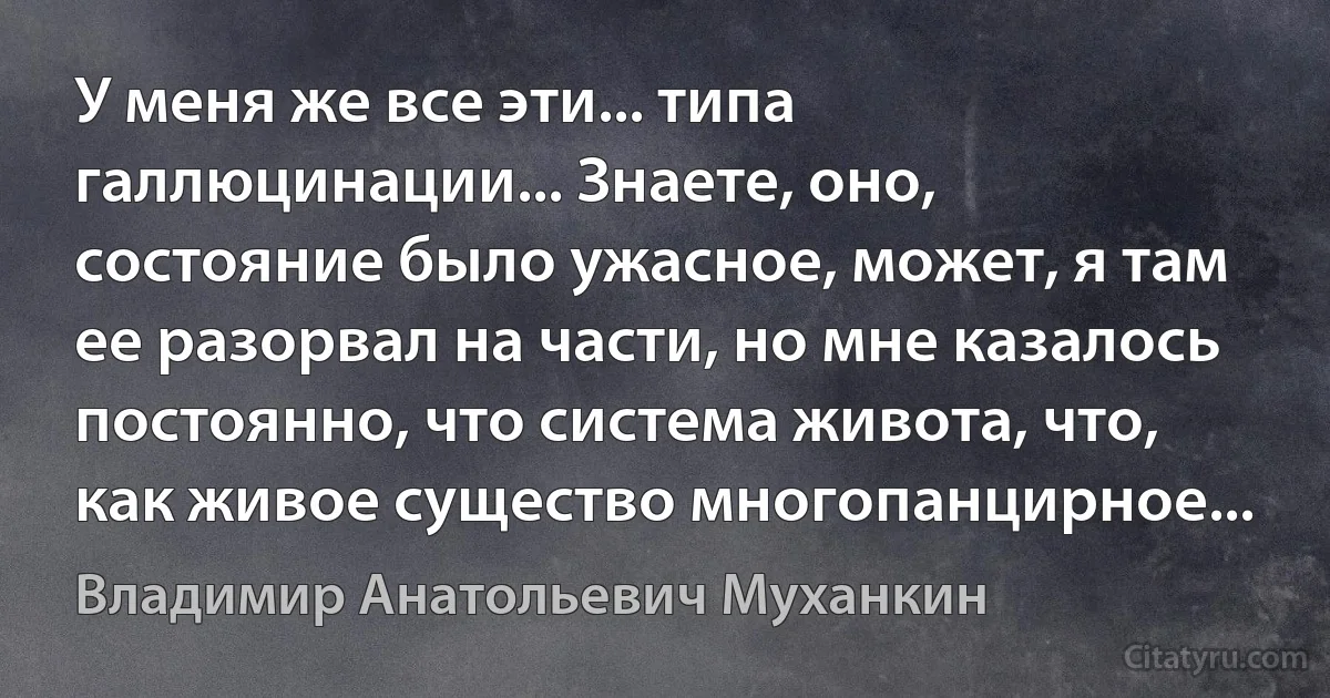 У меня же все эти... типа галлюцинации... Знаете, оно, состояние было ужасное, может, я там ее разорвал на части, но мне казалось постоянно, что система живота, что, как живое существо многопанцирное... (Владимир Анатольевич Муханкин)