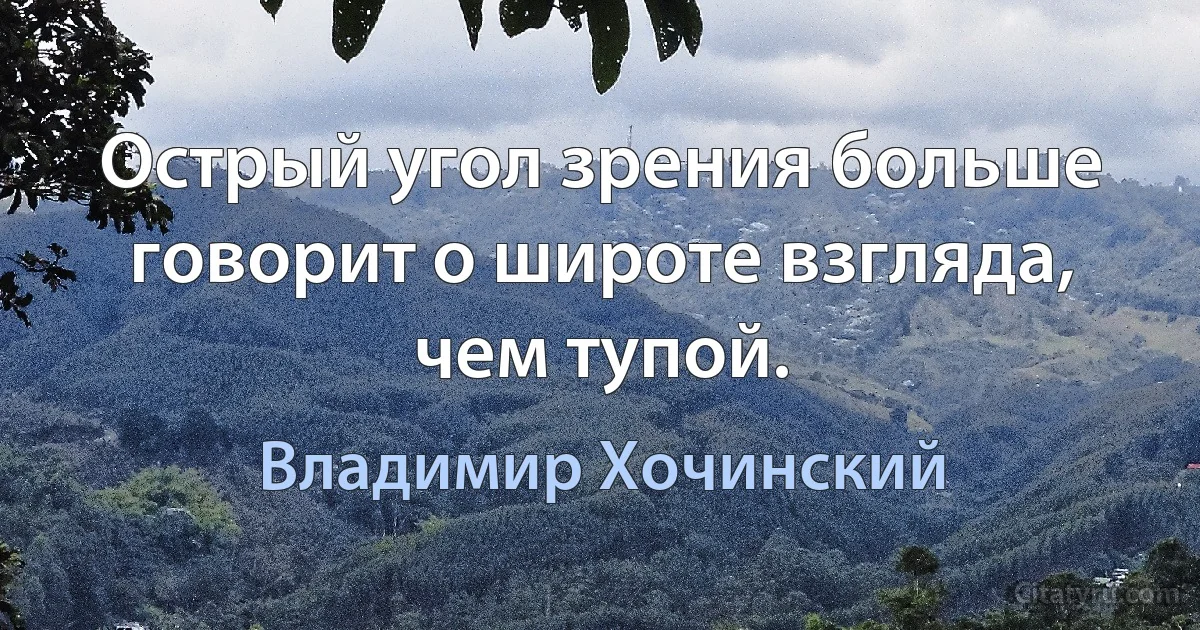 Острый угол зрения больше говорит о широте взгляда, чем тупой. (Владимир Хочинский)