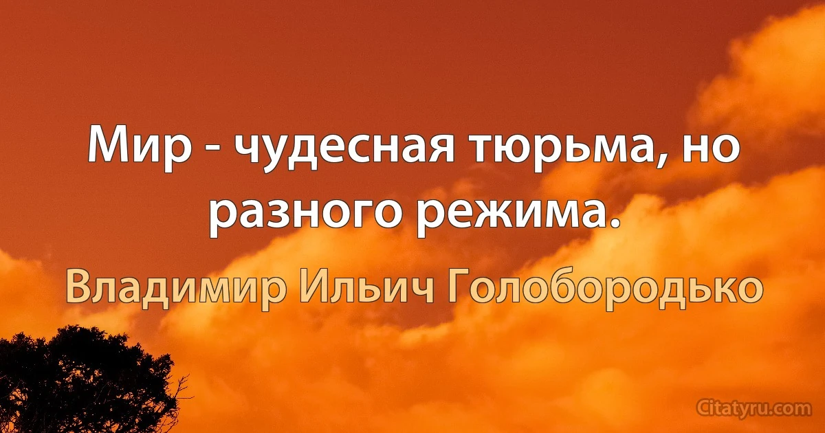 Мир - чудесная тюрьма, но разного режима. (Владимир Ильич Голобородько)