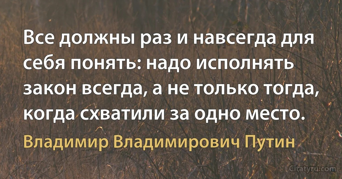 Все должны раз и навсегда для себя понять: надо исполнять закон всегда, а не только тогда, когда схватили за одно место. (Владимир Владимирович Путин)