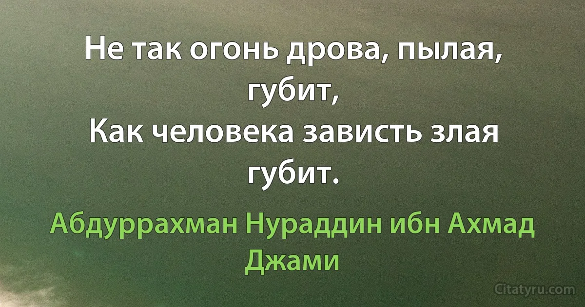 Не так огонь дрова, пылая, губит,
Как человека зависть злая губит. (Абдуррахман Нураддин ибн Ахмад Джами)