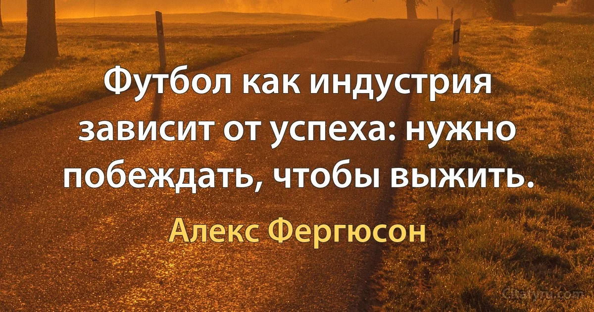 Футбол как индустрия зависит от успеха: нужно побеждать, чтобы выжить. (Алекс Фергюсон)