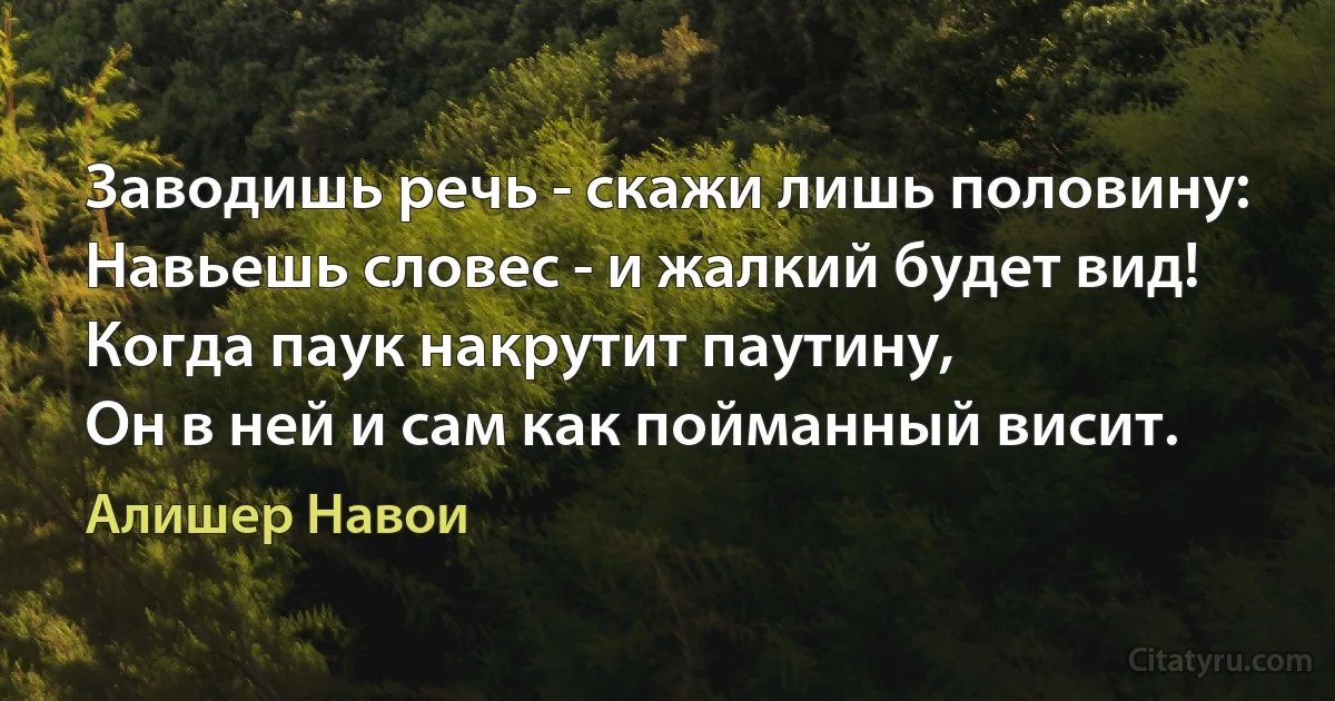 Заводишь речь - скажи лишь половину:
Навьешь словес - и жалкий будет вид!
Когда паук накрутит паутину,
Он в ней и сам как пойманный висит. (Алишер Навои)