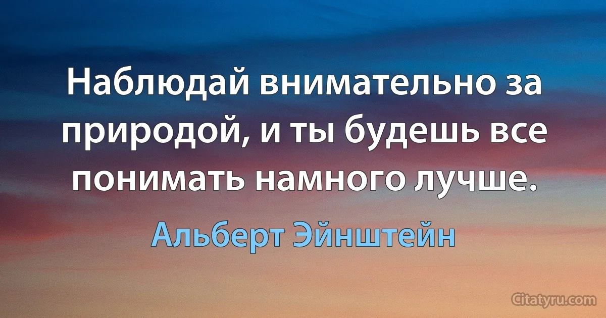 Наблюдай внимательно за природой, и ты будешь все понимать намного лучше. (Альберт Эйнштейн)