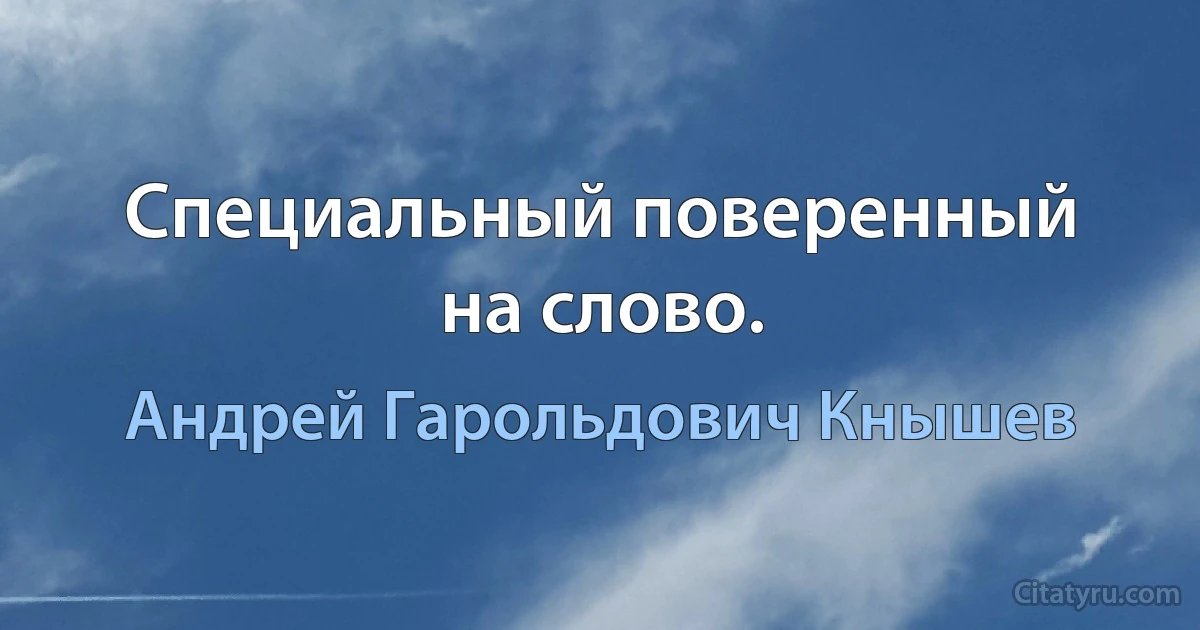 Специальный поверенный на слово. (Андрей Гарольдович Кнышев)