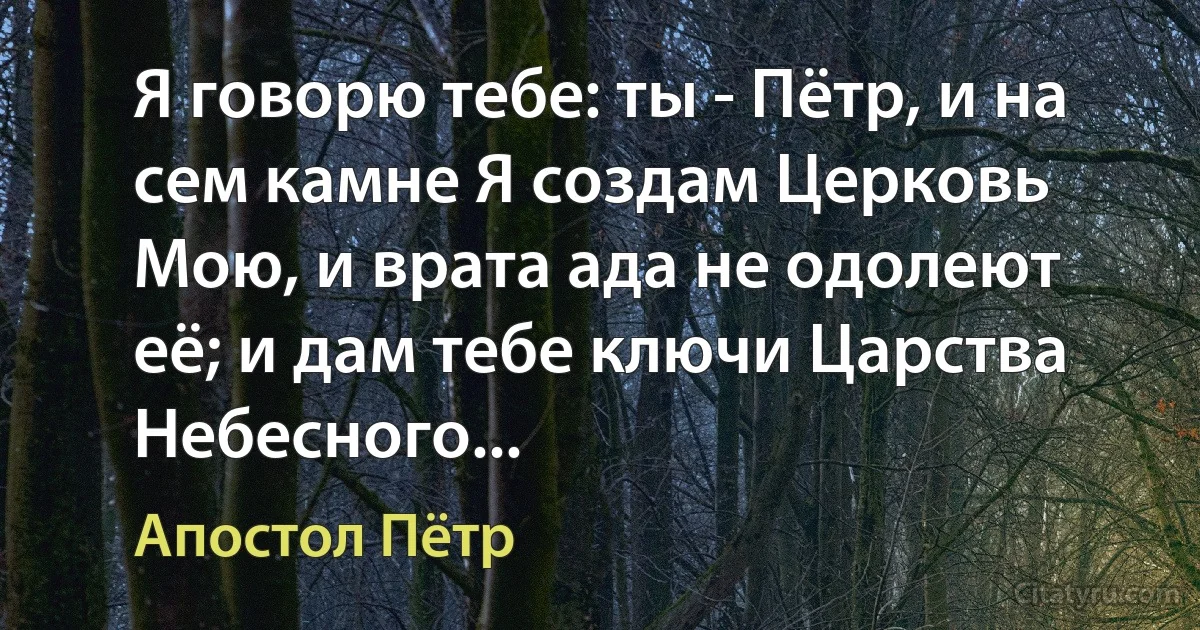 Я говорю тебе: ты - Пётр, и на сем камне Я создам Церковь Мою, и врата ада не одолеют её; и дам тебе ключи Царства Небесного... (Апостол Пётр)