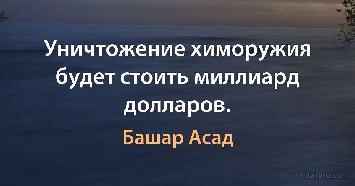 Уничтожение химоружия будет стоить миллиард долларов. (Башар Асад)