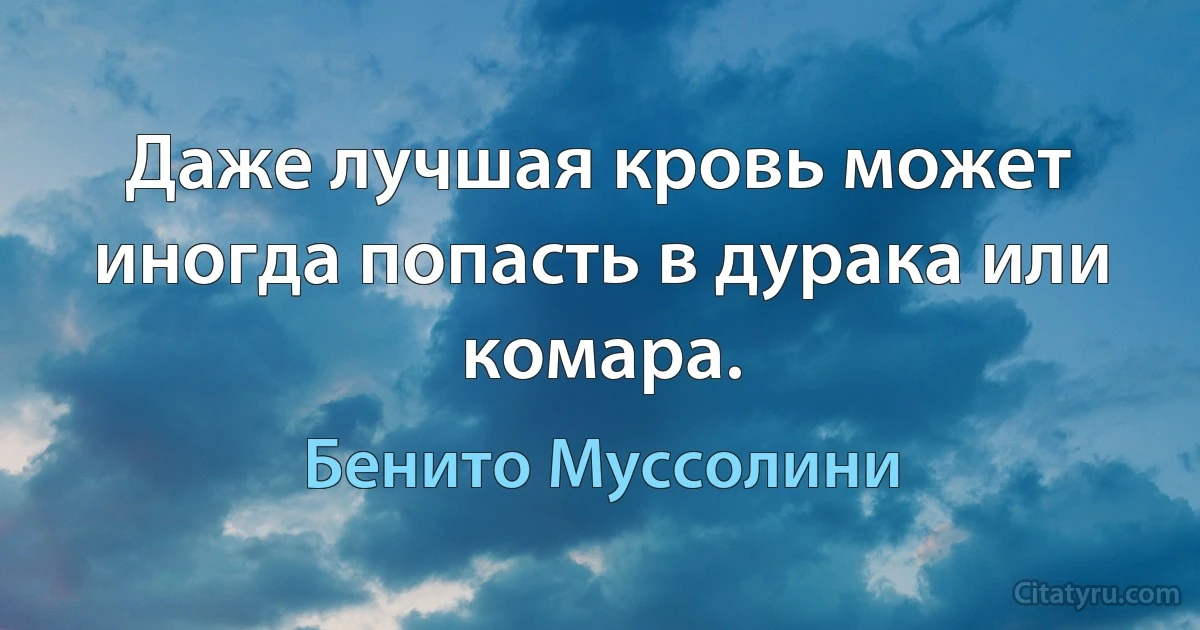 Даже лучшая кровь может иногда попасть в дурака или комара. (Бенито Муссолини)