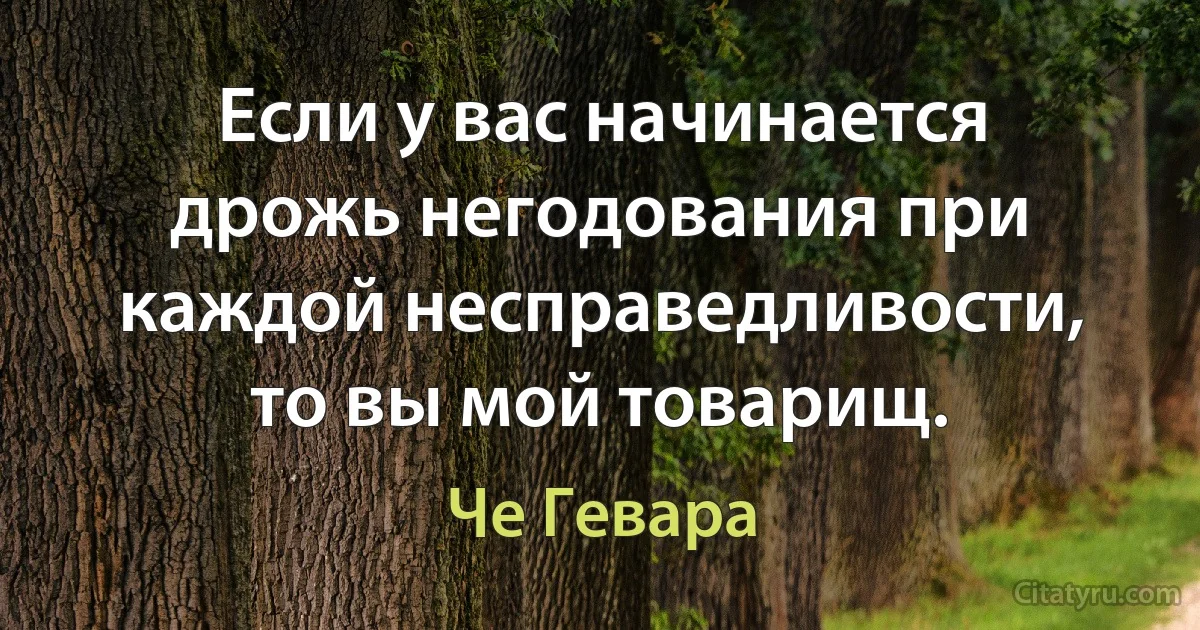 Если у вас начинается дрожь негодования при каждой несправедливости, то вы мой товарищ. (Че Гевара)