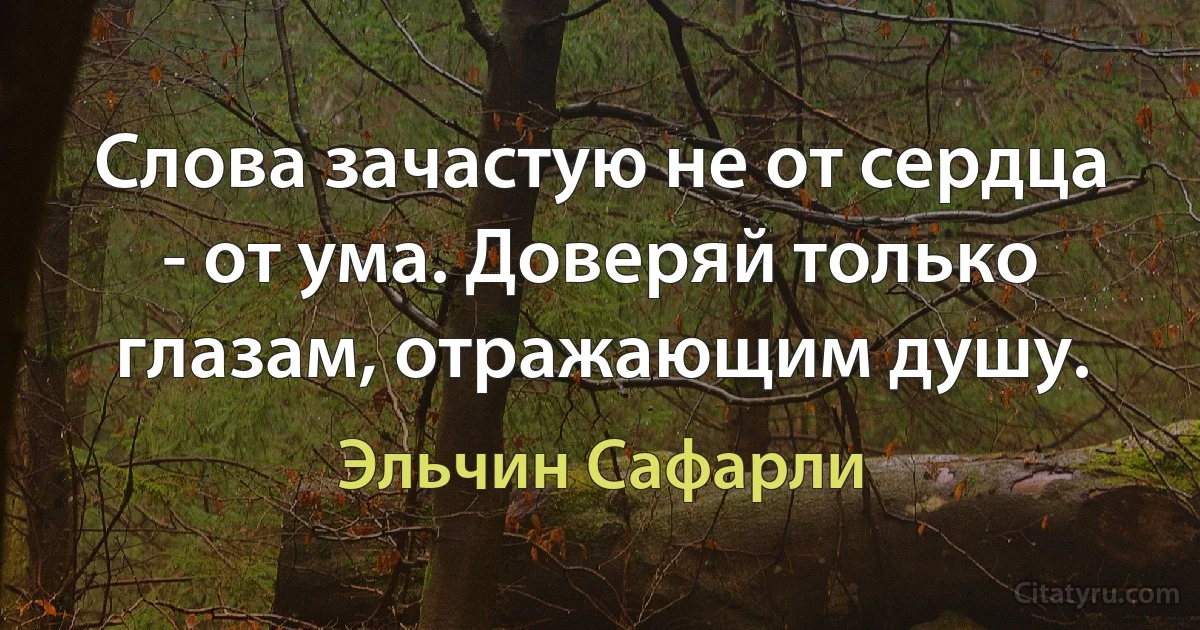 Слова зачастую не от сердца - от ума. Доверяй только глазам, отражающим душу. (Эльчин Сафарли)