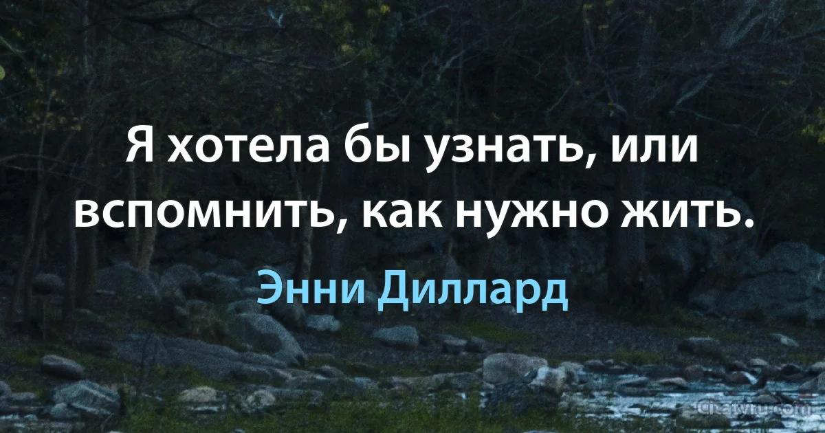 Я хотела бы узнать, или вспомнить, как нужно жить. (Энни Диллард)