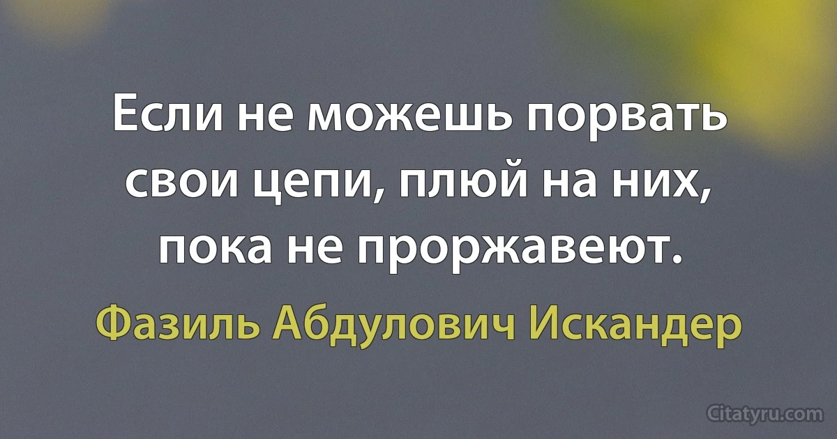 Если не можешь порвать свои цепи, плюй на них, пока не проржавеют. (Фазиль Абдулович Искандер)